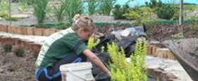 nasadzenia roślin Przemyśl, Jarosław, Przeworsk